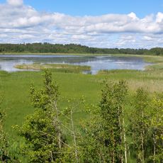 Saarioisjärvi