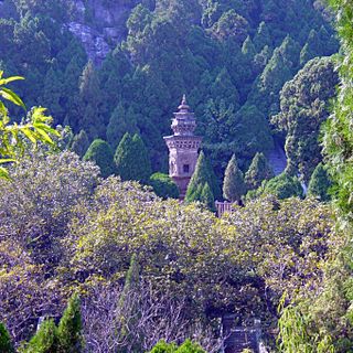 Dragon-and-Tiger Pagoda