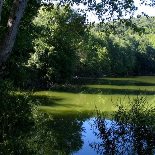 Ramapo Mountain Reservation