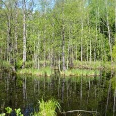 Laučynė Landscape Sanctuary