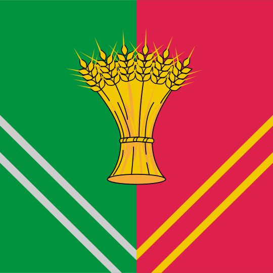 Vereshchaginsky District