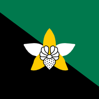 Enga Province