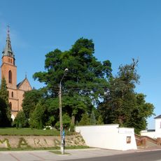 Zespół kościoła św. Trójcy i Narodzenia NMP w Trzeszczanach Pierwszych