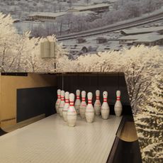 ALPEN BOWLING