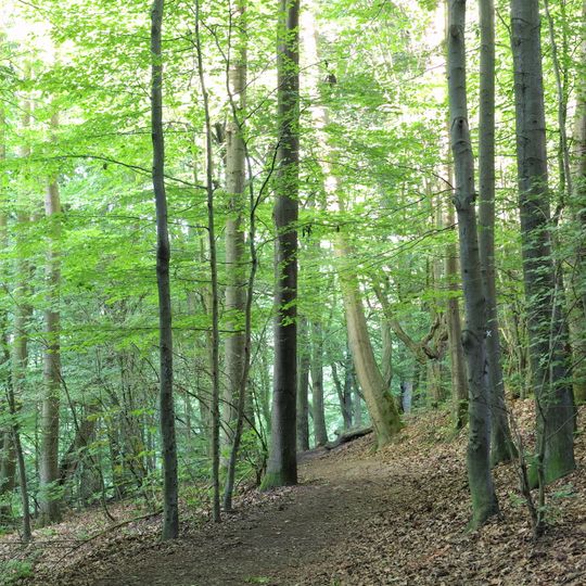 Langeloh/In der Hemke