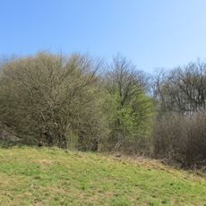 NSG Wunderwaeldchen (LP)