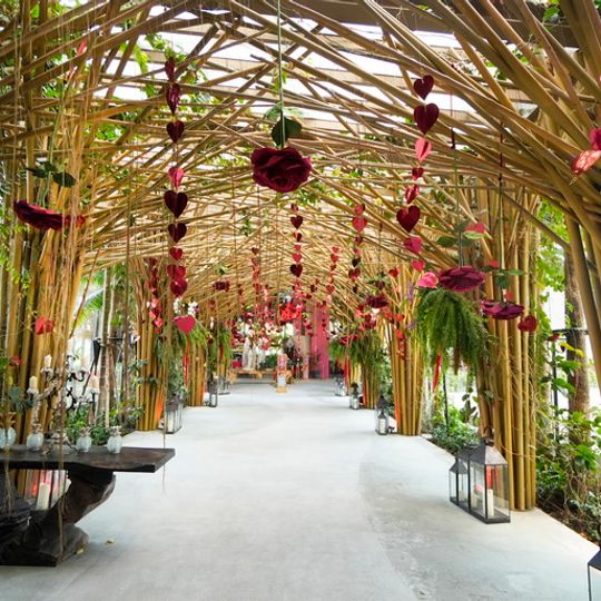 TRIBE Sky Beach Club