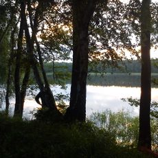 Jezioro Wielkie (powiat sulęciński)