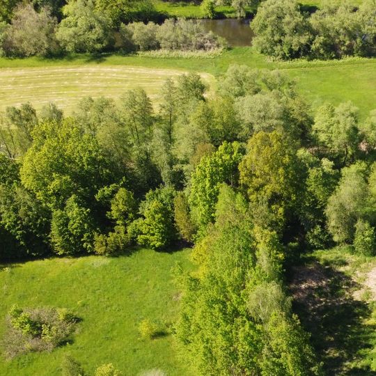 Lachen bei der Haublermühle
