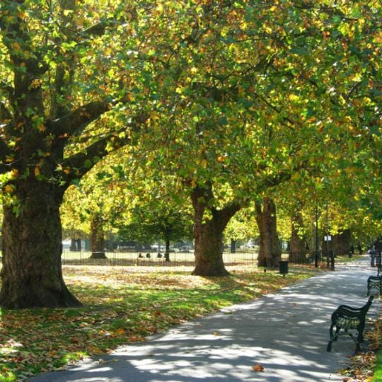 Kennington Common