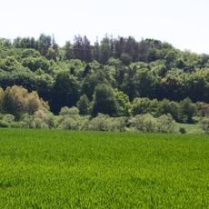 Fussenacker