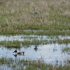 Ridgefield National Wildlife Refuge
