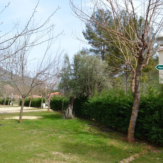 Camping Río Segura