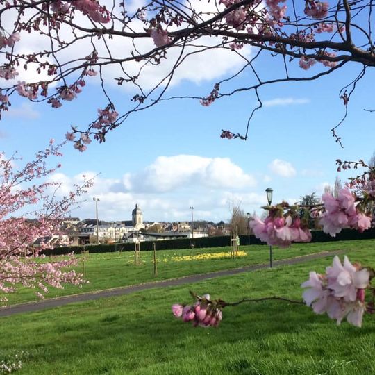 Argentré-du-Plessis