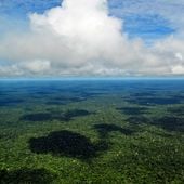Guyana