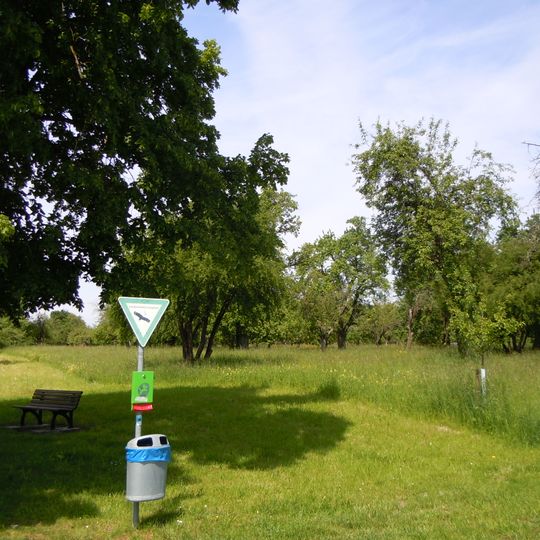 Streuobstgebiet westlich Immenhausen