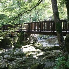 トリーモア森林公園