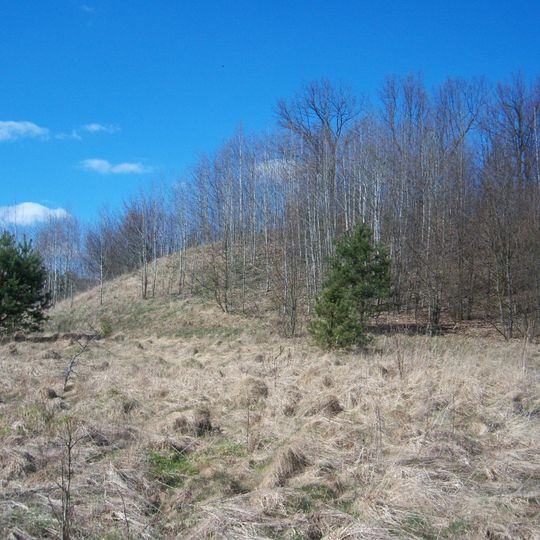 Nemajūnų piliakalnis