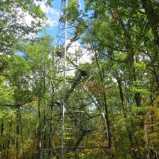 St. Croix State Park Fire Tower