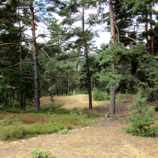 Dünen im Seeholz NW von Offenstetten