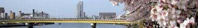 Panoramisch uitzicht 1