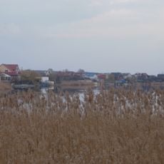 Novoselivskyi Lyman Reserve