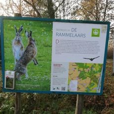 De Rammelaars