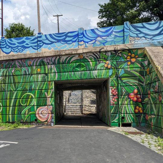 Fountain Street Steps