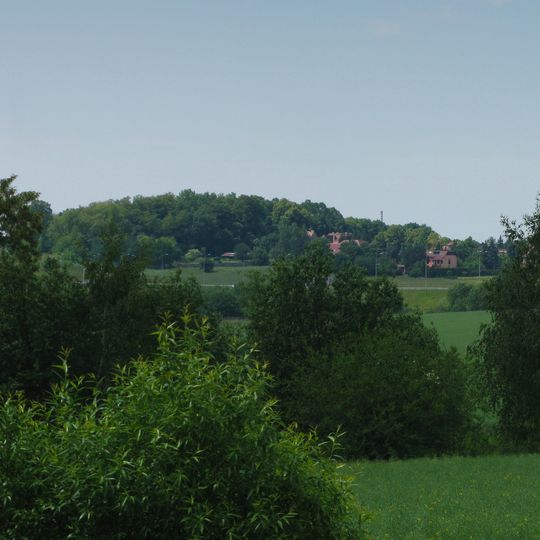Park w otoczeniu kaplicy św. Barbary w Bytomiu