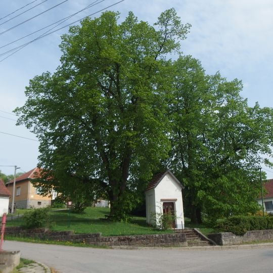 Lípy u Bzovské kapličky