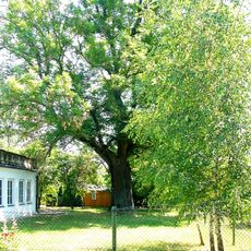 Ogród z dziedzińcem