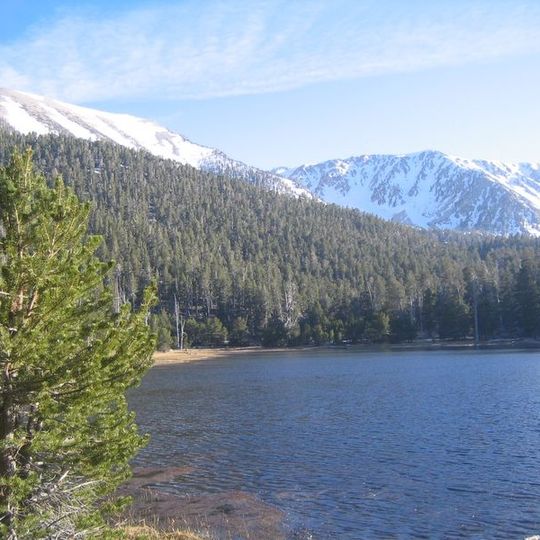 San Gorgonio Wilderness