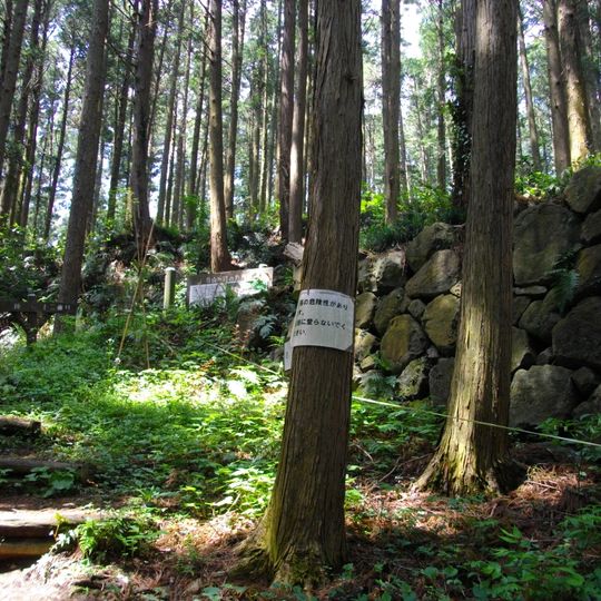 Castillo de Karasuyama