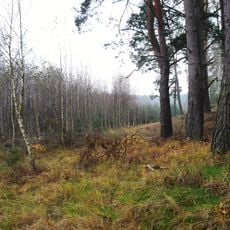 Nature reserve Mszar nad Jeziorem Mnich
