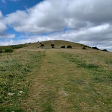 Romano-British farmstead, field system and trackway on Wolstonbury Hill