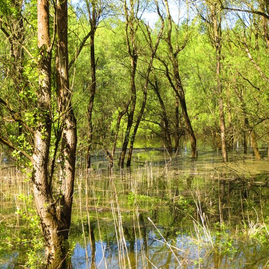 Hessisches Ried mit Kühkopf-Knoblochsaue