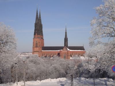 Vinter 8
