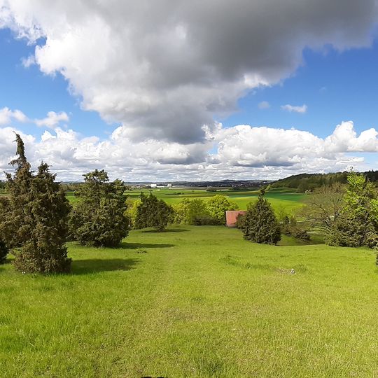 Wacholderberg - Geigerswasen