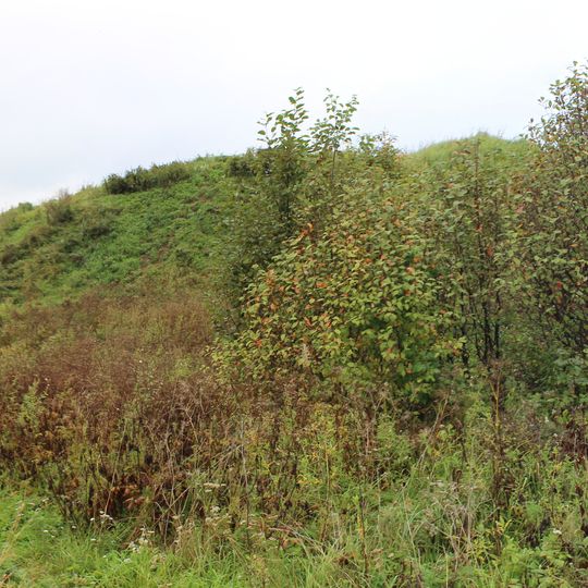 Daugmale hill fort