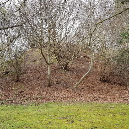 Mote Hill, palisaded settlement and cairn