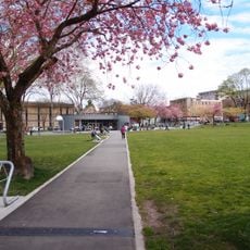 Oppenheimer Park
