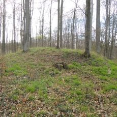 Großsteingrab Forst Tarnow 2