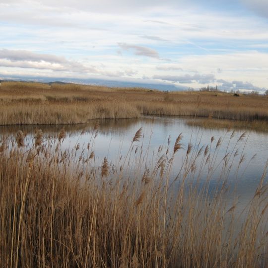 Marjal de Peníscola