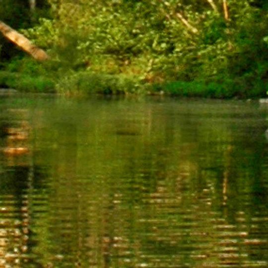 Buffalo National River