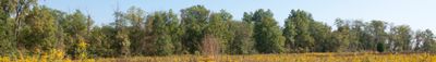 Panoramic View 1