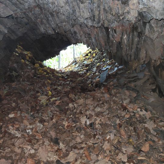 Former adit in Slavkov