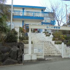 The Cat Museum