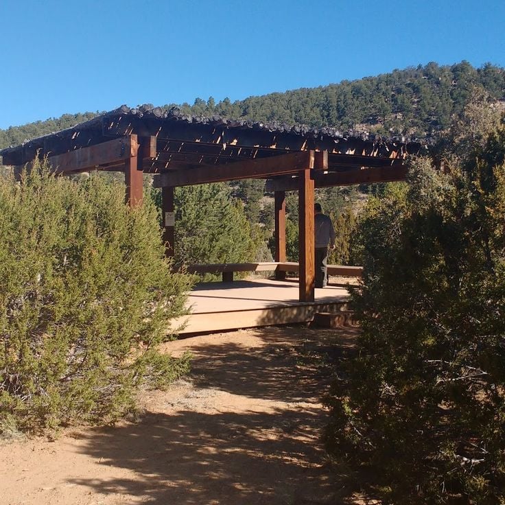 Centrum Audubon Randall Davey