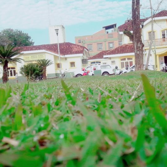 Hospital De Puerto Iguazú Marta Teodora Schwarz