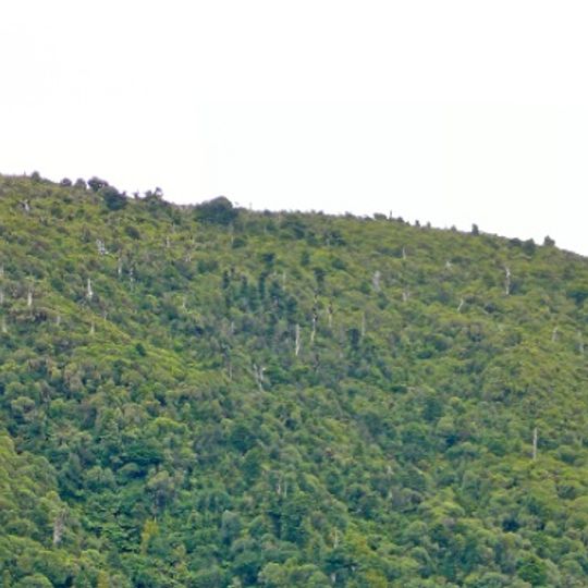 Rangitoto Island summit